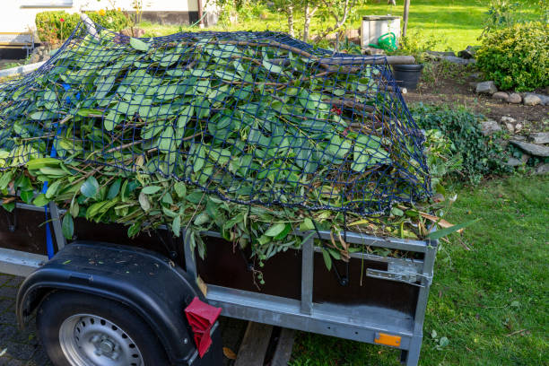 Shed Removal in Heeia, HI